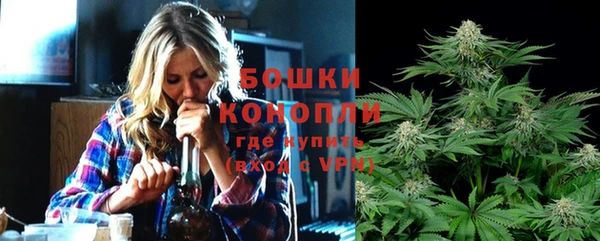 прущие крисы Няндома