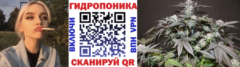 Шишки марихуана марихуана  Берёзовский 